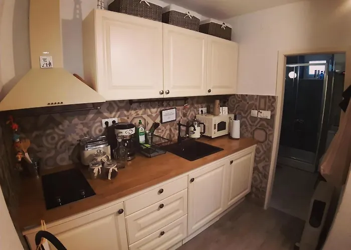 Liza\'S Downtown Apartment